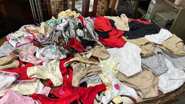 Lote de Ropa Interior Femenina Variada