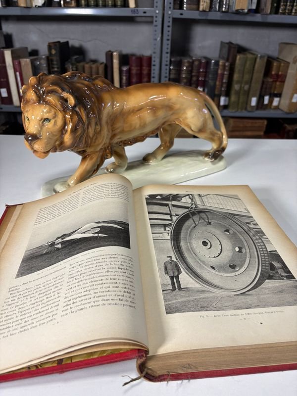 Libro antiguo con estatua de león - imagen 3