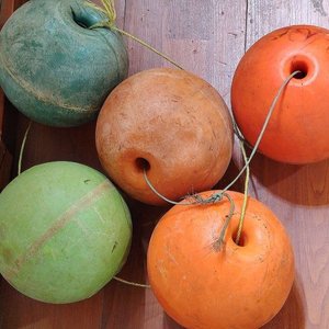 Juego de 5 Boyas de Pesca Ondina Industria Argentina - Verdes y Naranjas - imagen 2