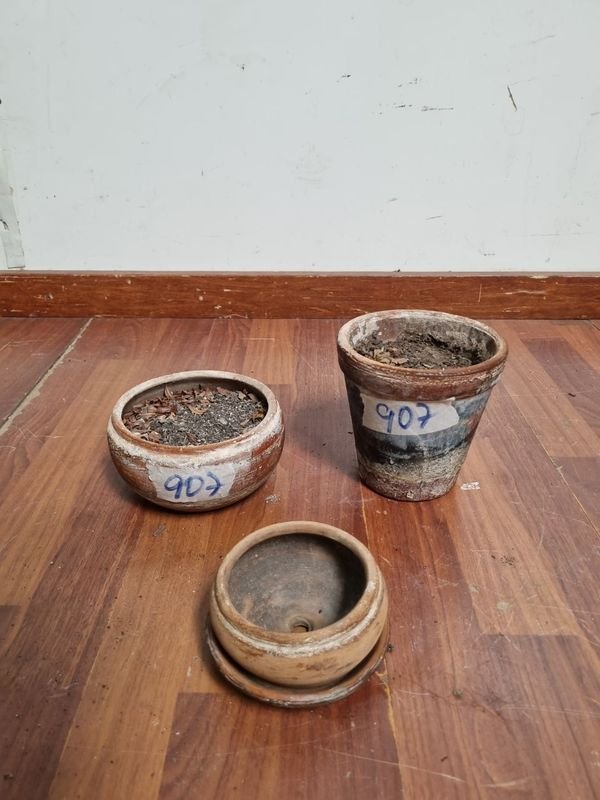 Lote anterior: Vajillas y recipientes de barro antiguo