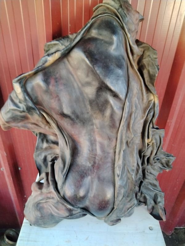 Item 876674 - Image 1