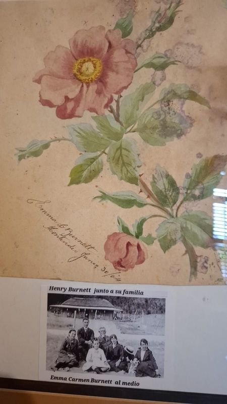 Item 856348 - Image 1