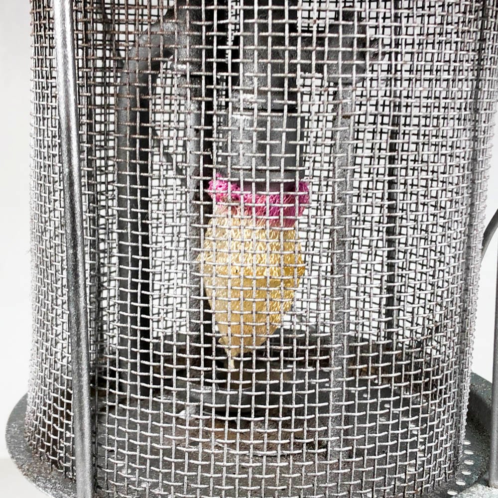 Item 500341 - Image 4