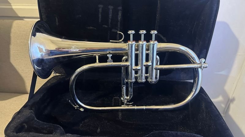 Lote siguiente: Fliscorno con estuche de música