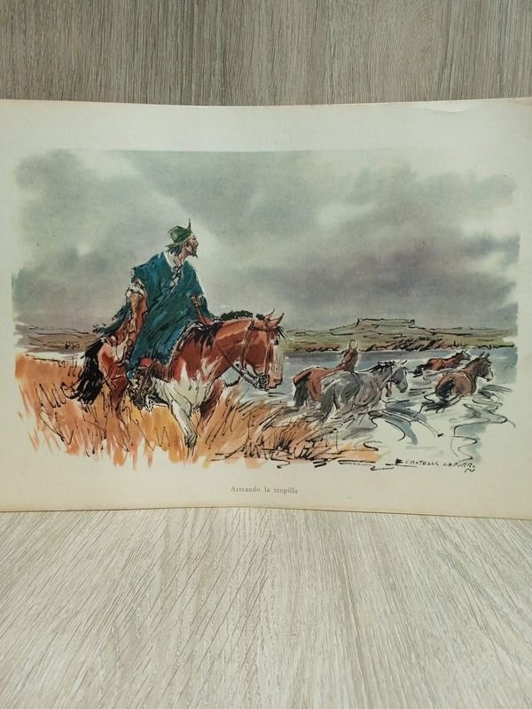 Item 883821 - Image 1