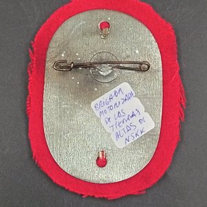 Distintivo NSKK Motorbrigade Hochland Fahrten durch Bayerns Berge 1937 - imagen 3