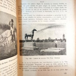 Libro "Pintura y Escultura", "Numismática" y "El Lazo, las Boleadoras y la Taba" de Ramón Mora Magariños (1937) - imagen 4