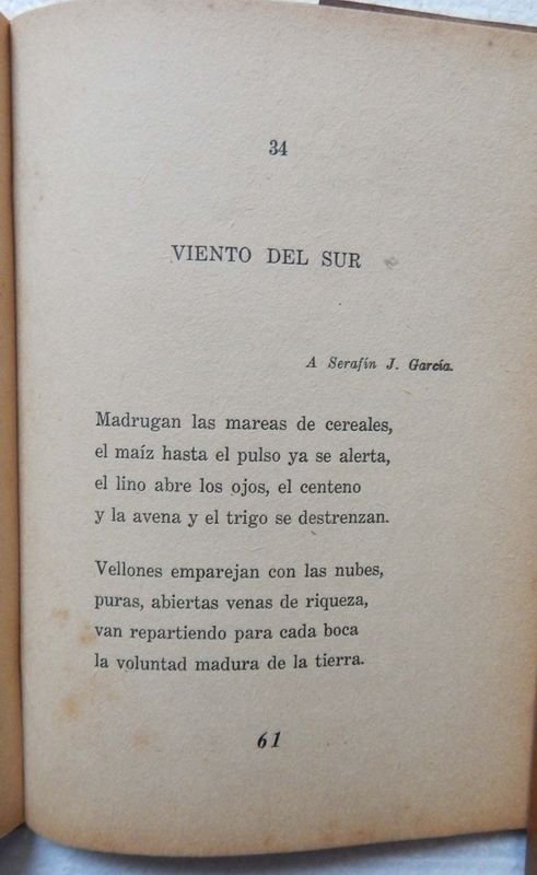 Libro de poesías de Uruguay González Poggi - imagen 7