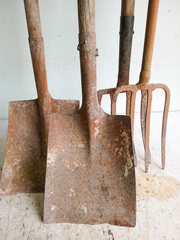 Item 501134 - Image 1