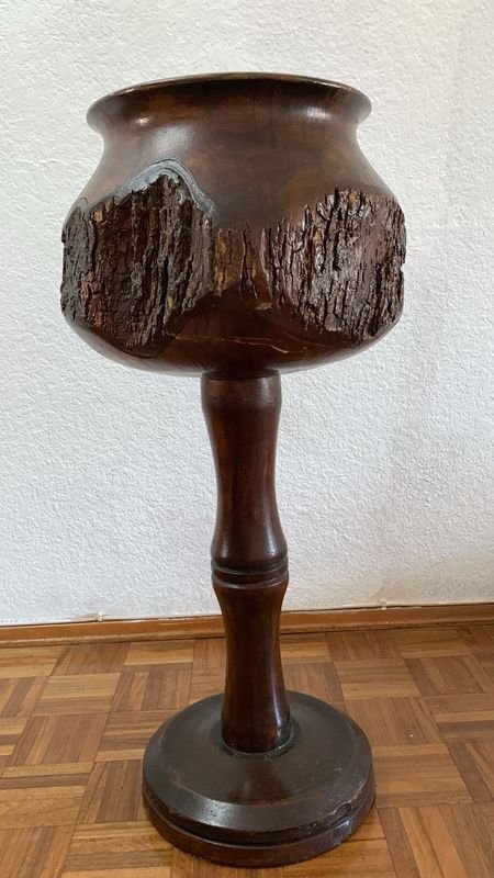 Pieza de madera petrificada rara - imagen 3