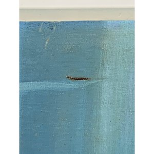 Cuadro al óleo: Costa de laguna, montañas y caseríos, firmado - imagen 5