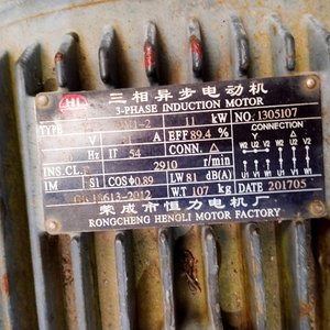 Motor Trifásico 15 HP y Válvula de Gran Porte - imagen 3