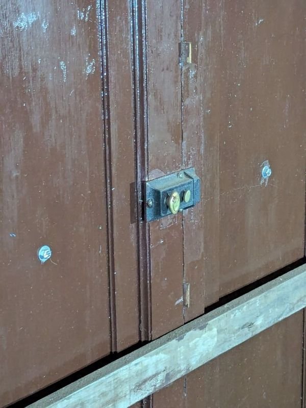 Puerta antigua de cedro con diseño de dos hojas y marco - imagen 7
