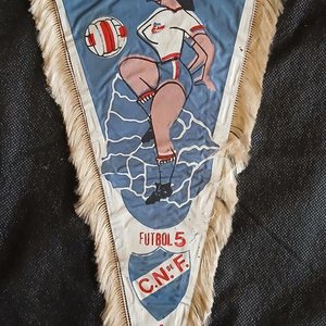 Lote siguiente: Banderín Histórico Club Nacional de Football Femenino Fútbol 5 (1971)