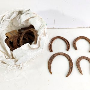 24 Herraduras usadas diferentes - imagen 1