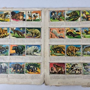 2 Álbumes Antiguos de Figuritas Completos: "Blancanieves y los Siete Enanitos" y "Prehistóricos y Vertebrados" - imagen 4