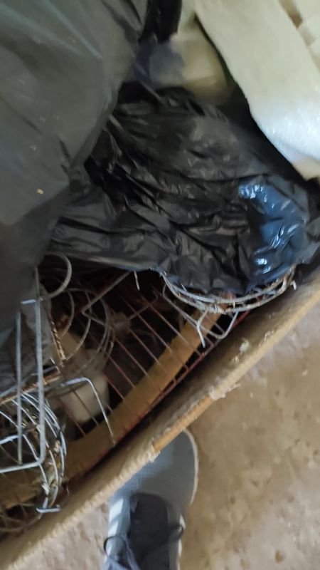 Item 869950 - Image 4