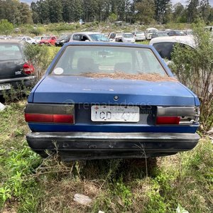 Volkswagen Gol y Audi 80 en Desuso - imagen 2