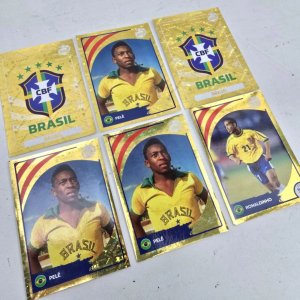 Lote anterior: Figuritas Panini Copa América 2024 Brasil x6 - Pelé y Ronaldinho