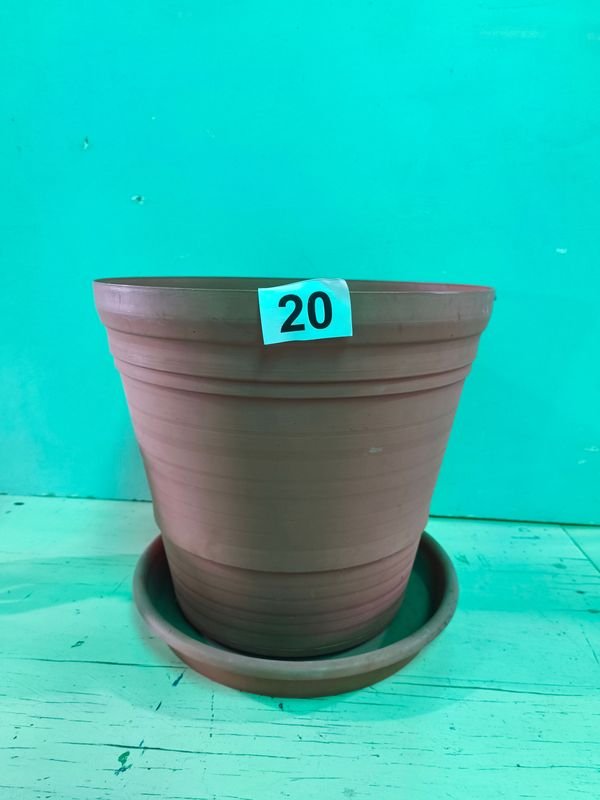 Item 884462 - Image 0