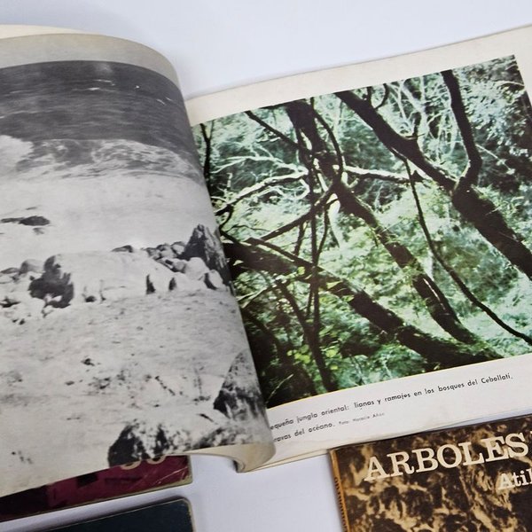 Libros sobre temáticas del Uruguay - imagen 5