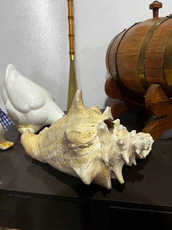 Item 895869 - Image 4