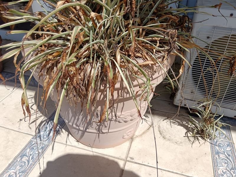 Item 866974 - Image 0