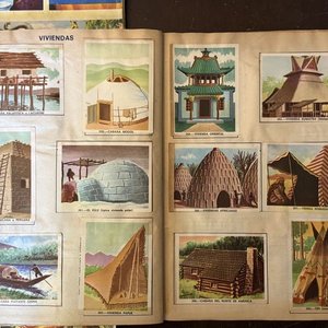 Álbumes "Vida y Color" Colección Enciclopédica Ilustrada - imagen 12