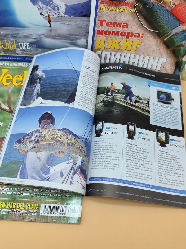 Guías de pesca y turismo en español - imagen 10