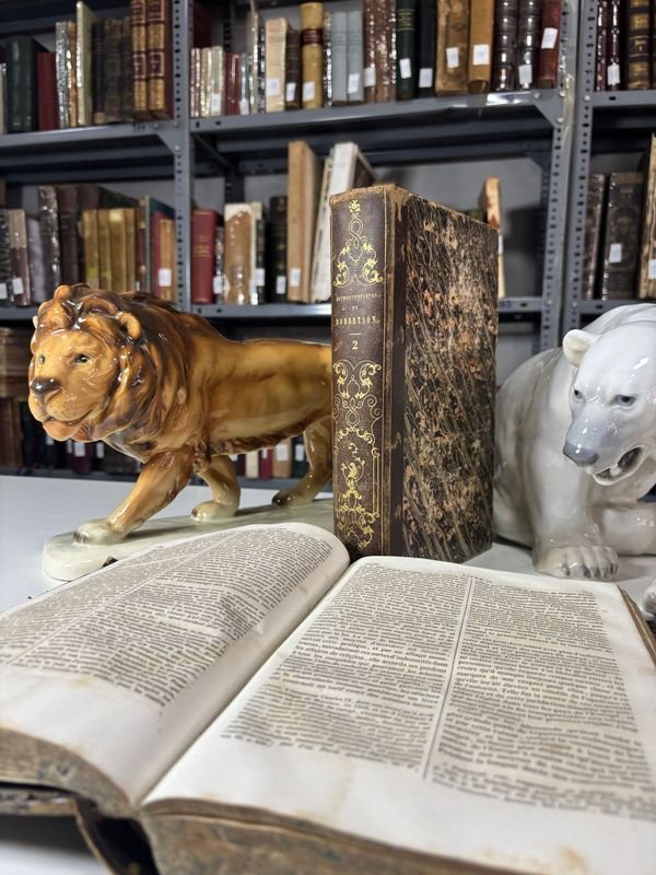 Item 879292 - Image 2