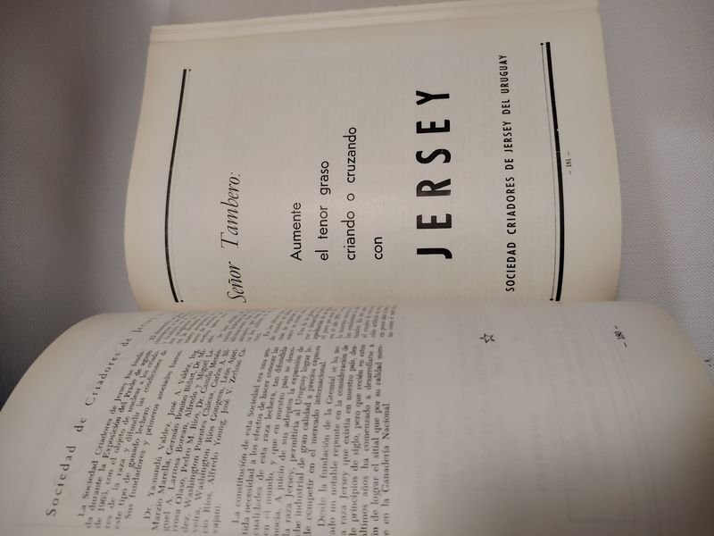 Item 901608 - Image 9