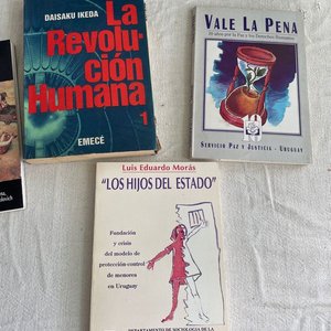 Lote de Libros sobre Derechos Humanos - imagen 4