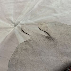 Cuero Beige Entero para Tapicería - imagen 3
