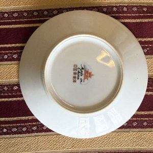Juego de Tazas y Platos de Porcelana China con Detalles Florales - imagen 10