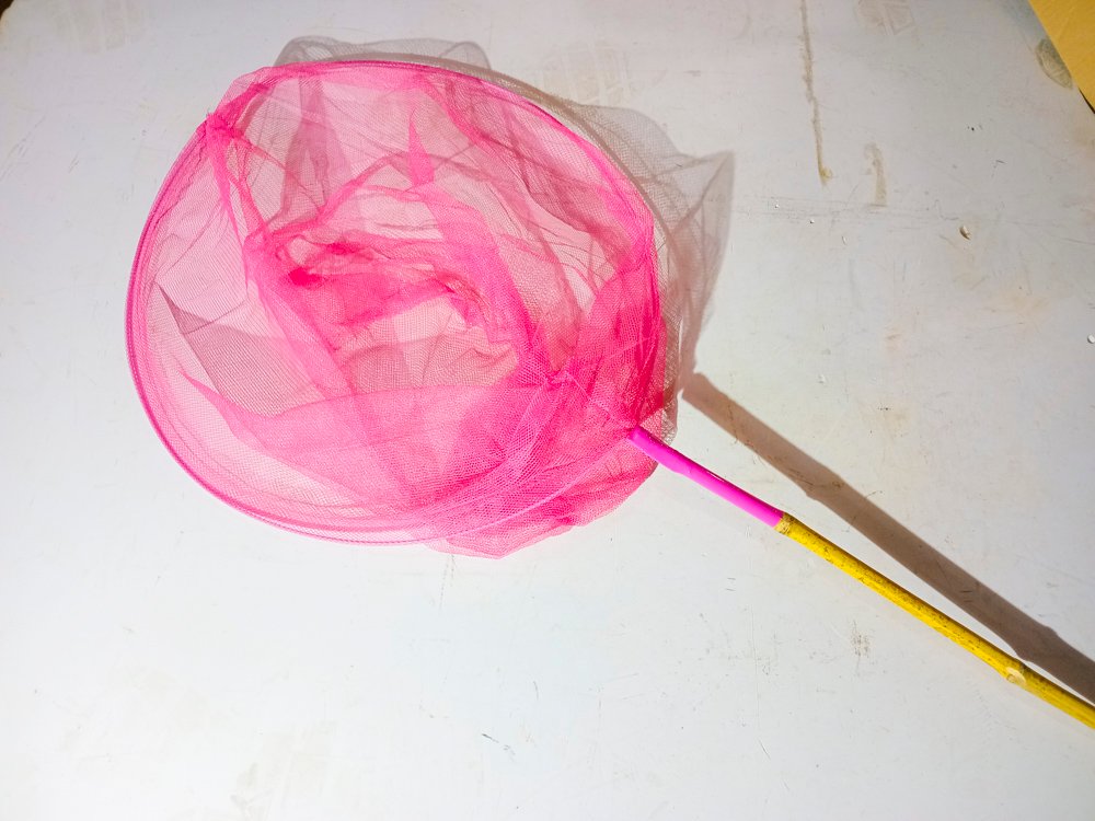 Item 489662 - Image 0