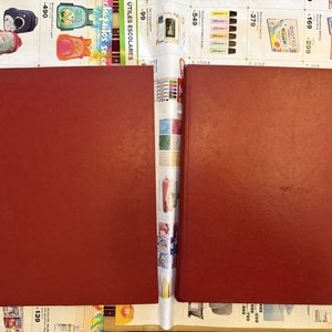 Lote anterior: Enciclopedia Temática Guinness - 2 Tomos Edición El País