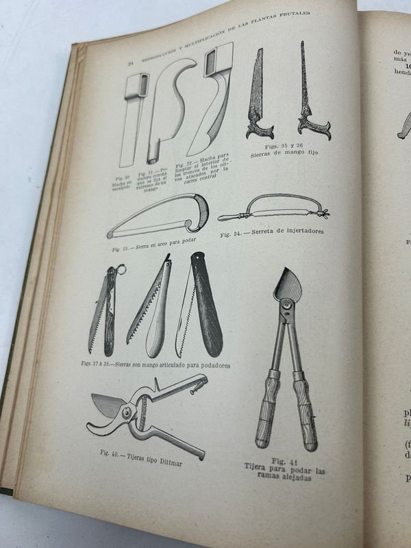 Tratado de Fruticultura de D. Tamaro, 1920 - imagen 6