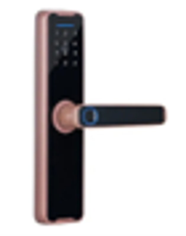 Puerta Digital con Cerradura y Teclado - imagen 5