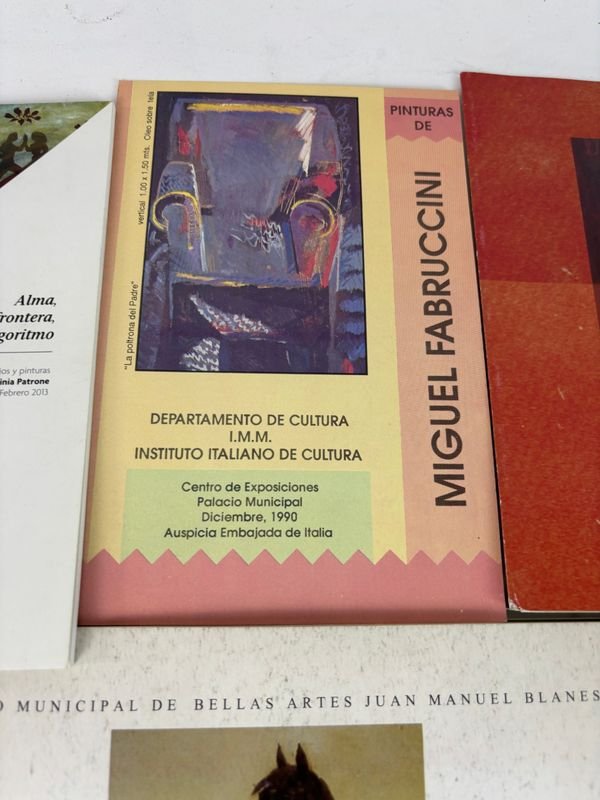 Colección de libros sobre arte y artistas uruguayos contemporáneos - imagen 9