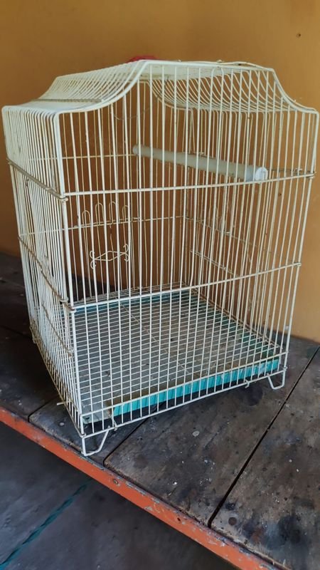 Item 870010 - Image 0