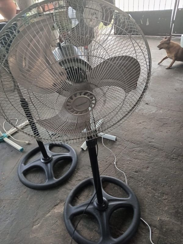 Item 852407 - Image 7