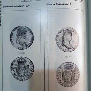 Libro "Acunaciones de la Casa de Borbón" de Jesús Vico Monteoliva y Fernando P. Segarra - imagen 6