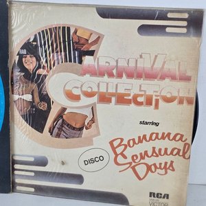 Selección de Vinilos de Música Disco y Tropical - imagen 3