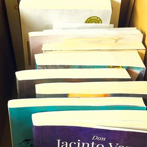 Lote de Diecinueve Libros Variados - imagen 2