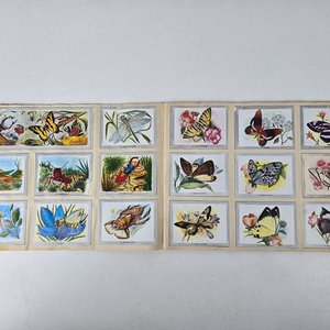 Álbum de Figuritas Vida y Color 1967 Completo - imagen 4