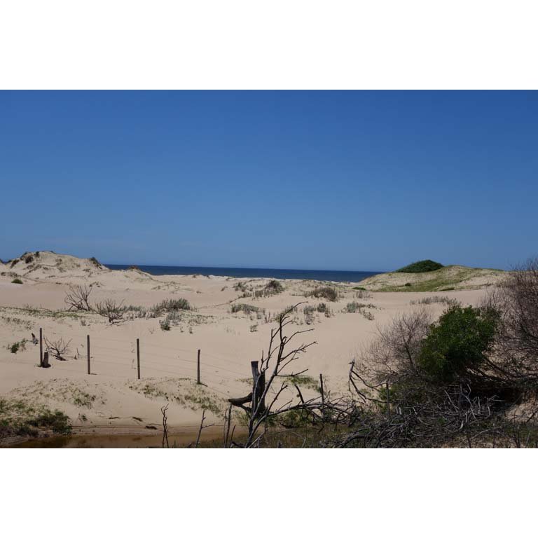 Item 2093554 - Image 4