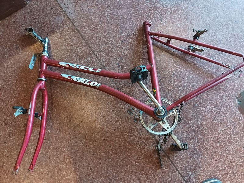 Cuadro bicicleta Caloi Ceci rodado 24