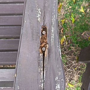 Par de Sillas de Jardín Adirondack de Madera Estilo Rústico - imagen 6
