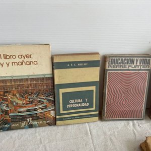 Lote de Libros de Psicología y Estudios - imagen 2