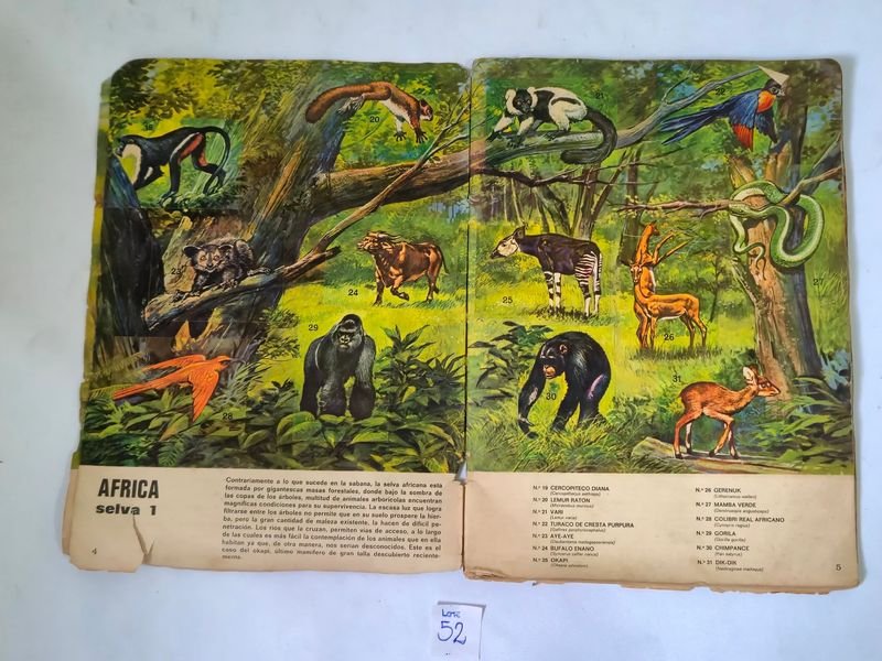 Item 844753 - Image 2